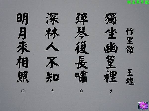 3030-101