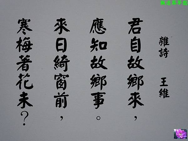 唐詩共賞