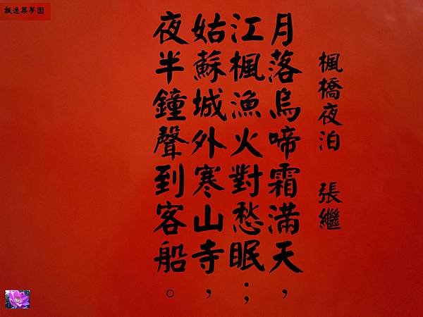 1003DSCN1320-20.jpg