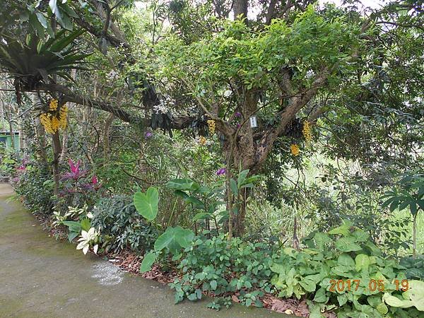 DSCN2719.JPG