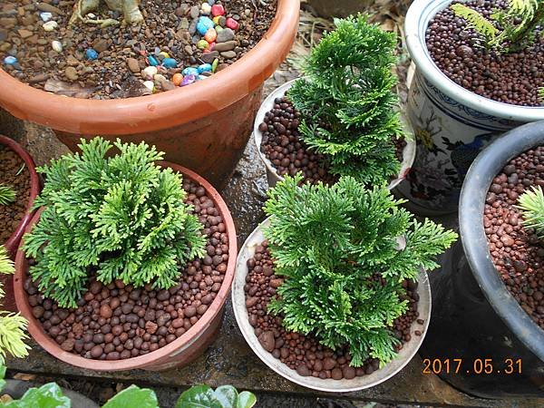DSCN2872.JPG