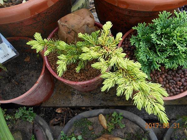 DSCN2873.JPG