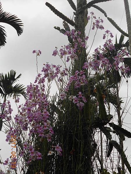 DSCN2990.JPG