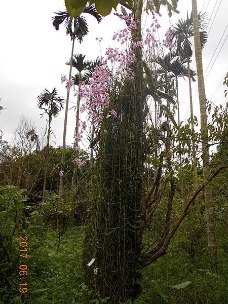 DSCN2995.JPG