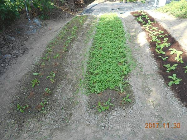 DSCN4120.JPG