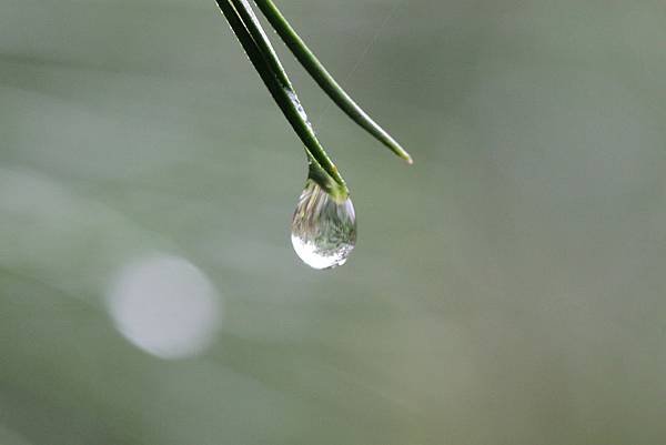 IMG_8756.JPG