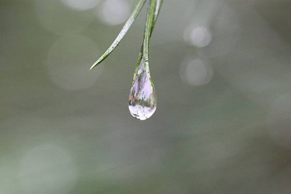 IMG_8757.JPG