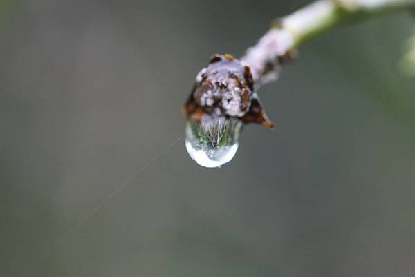 IMG_8769.JPG