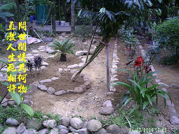 100-162398.4.3石頭花圃.JPG