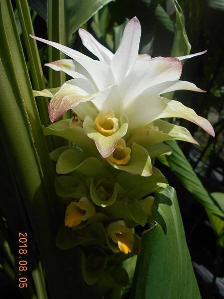 DSCN5646.JPG