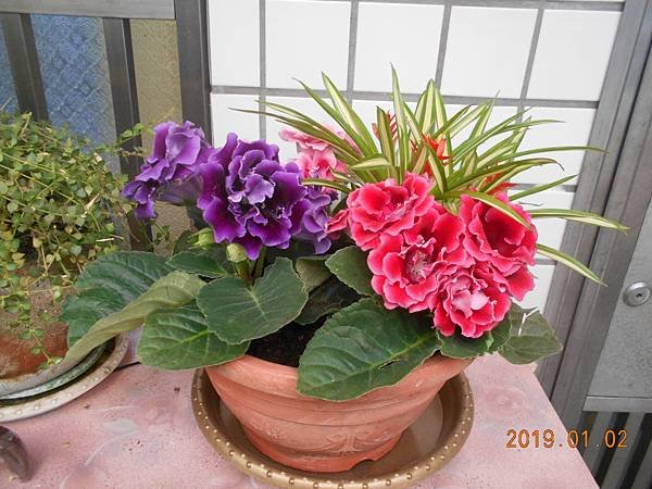 DSCN6648.JPG