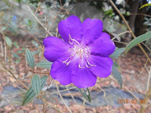 DSCN7283.JPG