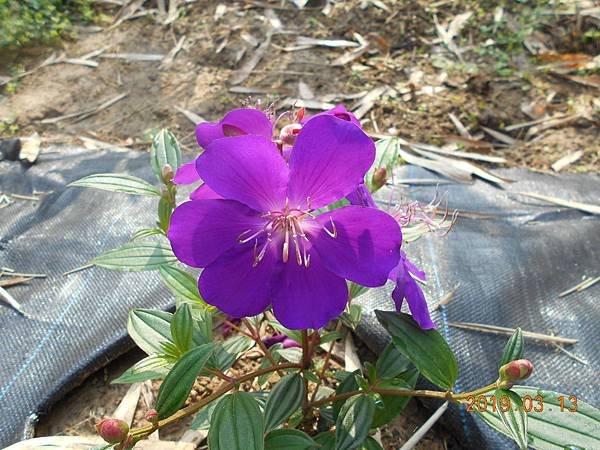 DSCN7331.JPG