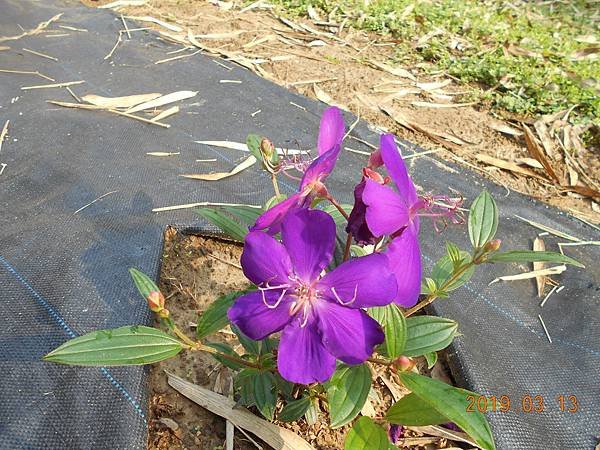 DSCN7329.JPG