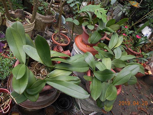 DSCN7745.JPG