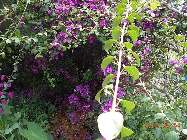 DSCN7933.JPG