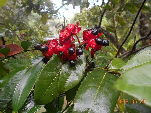 DSCN7940.JPG