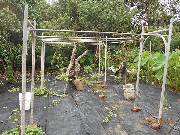DSCN8257.JPG