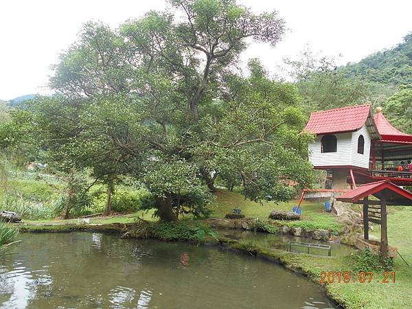 DSCN8510.JPG