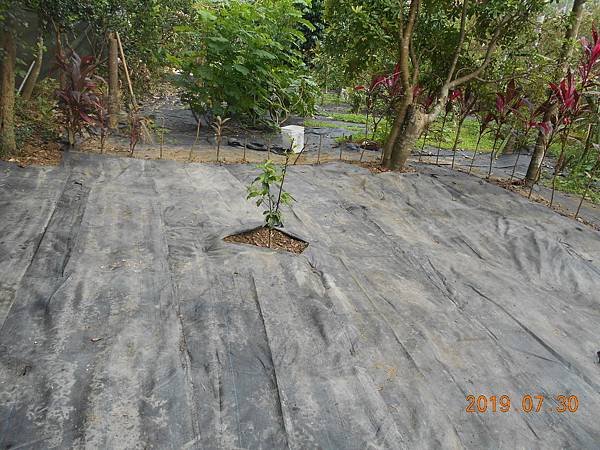 DSCN8559.JPG