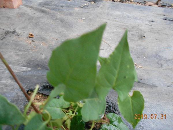 DSCN8564.JPG