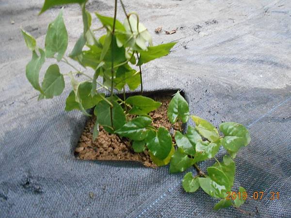 DSCN8565.JPG