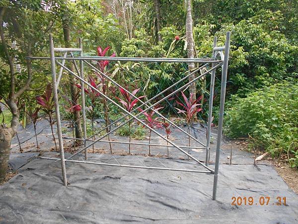 DSCN8561.JPG