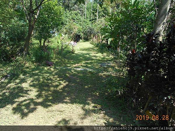 DSCN8678.JPG