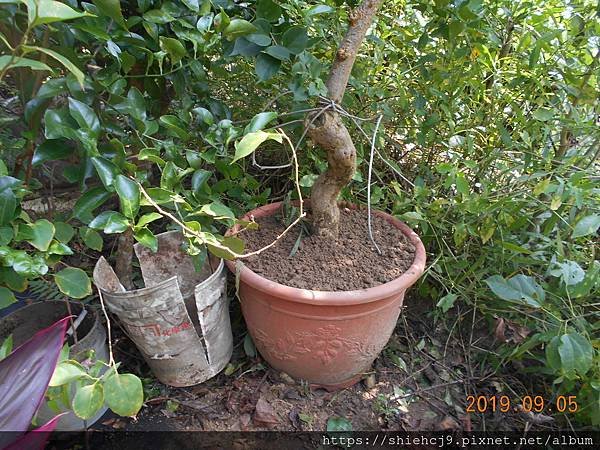DSCN8745.JPG