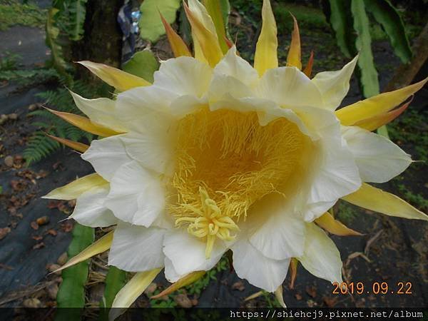 DSCN8857.JPG