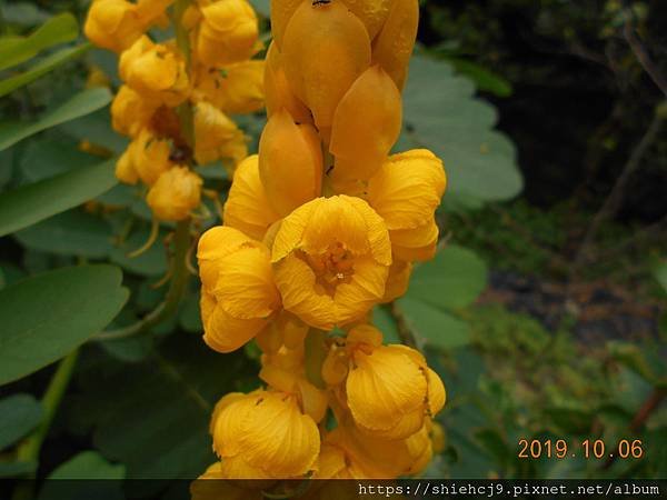 DSCN8960.JPG