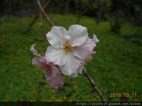 DSCN8969.JPG