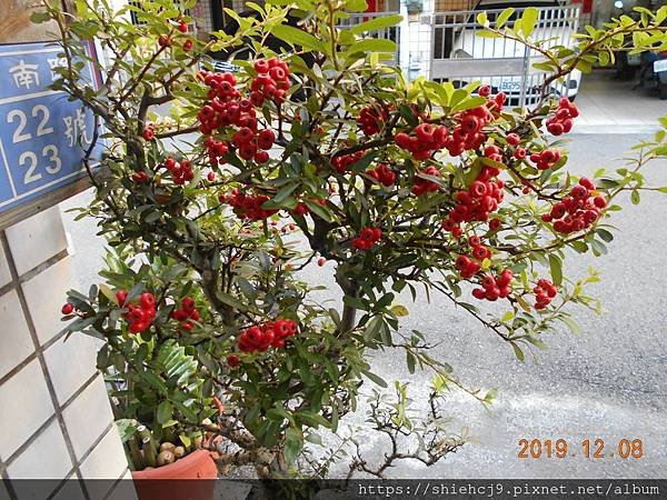 DSCN9334.JPG