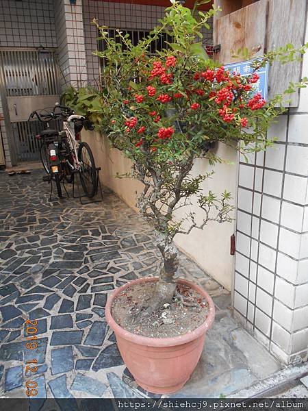 DSCN9341.JPG