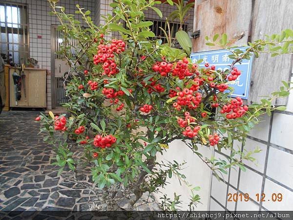 DSCN9340.JPG