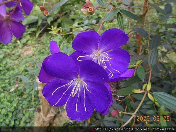 DSCN0426.JPG