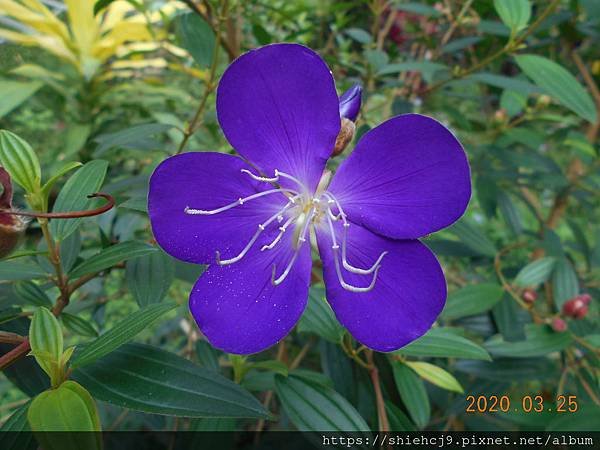 DSCN0425.JPG