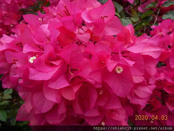 DSCN0631.JPG