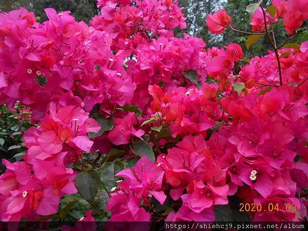 DSCN0633.JPG