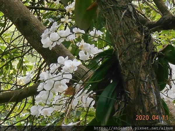 DSCN0770.JPG