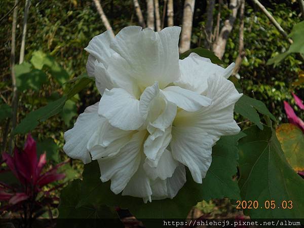 DSCN1127.JPG
