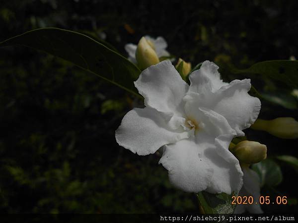 DSCN1228.JPG