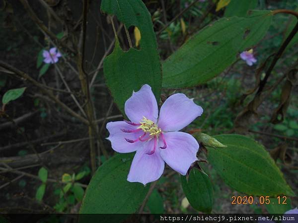 DSCN1315.JPG
