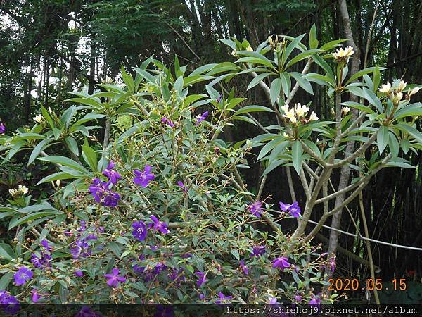 DSCN1393.JPG