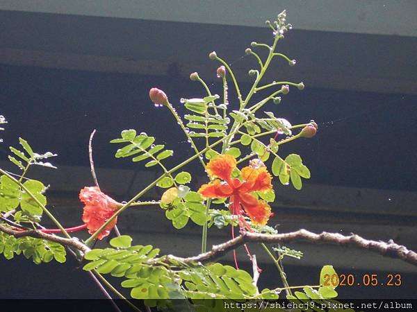 DSCN1501.JPG