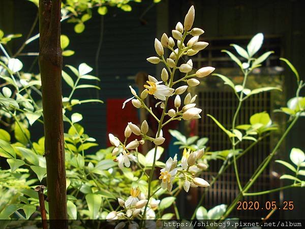 DSCN1518.JPG