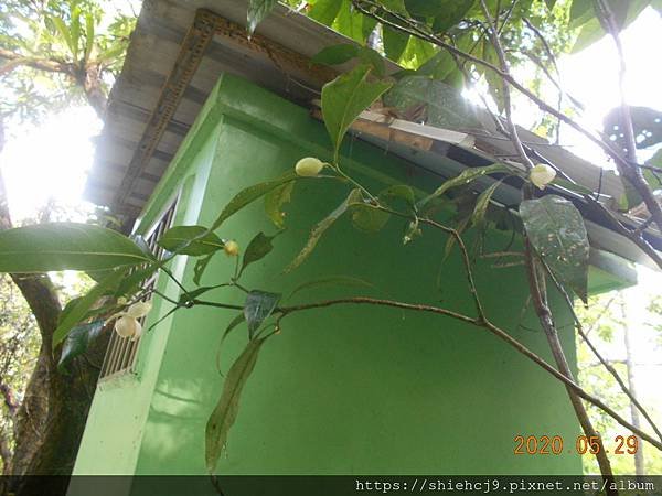 DSCN1556.JPG