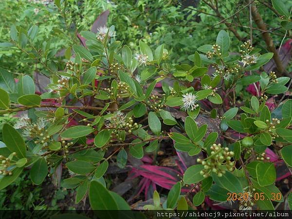 DSCN1595.JPG