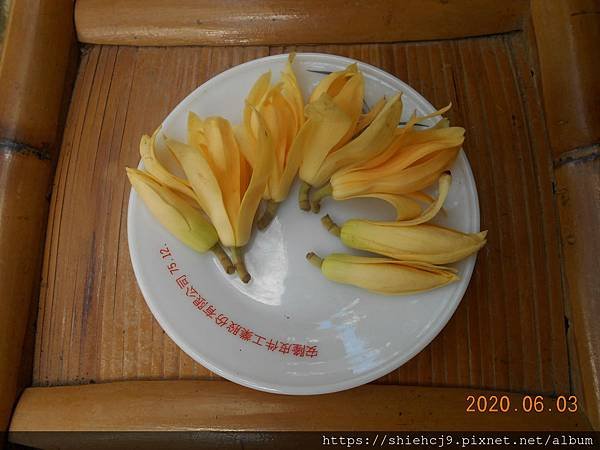 DSCN1660.JPG