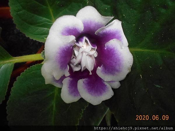 DSCN1794.JPG